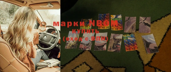 спиды Инсар