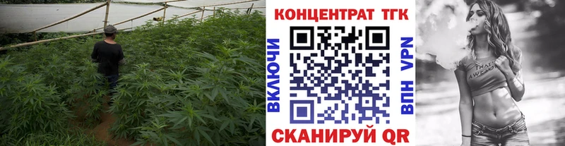 Дистиллят ТГК THC oil Кадников