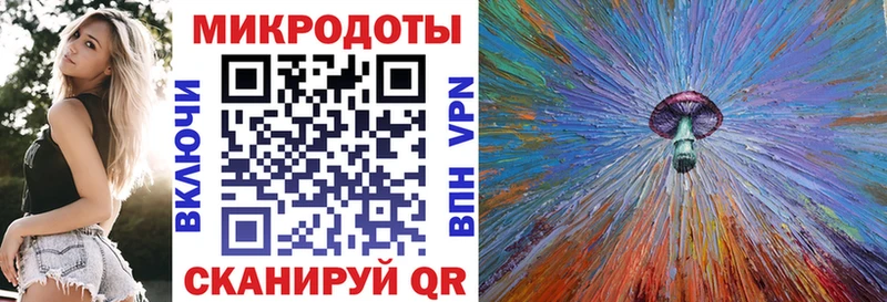 Купить где  Кадников  Галлюциногенные грибы Magic Shrooms 
