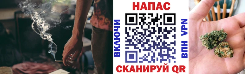 Купить где  Кадников  Шишки марихуана план 